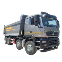 Sinotruk Howo Tx 8x4 Dump Truck