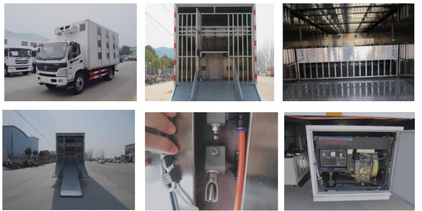 الصورة_20241216193811