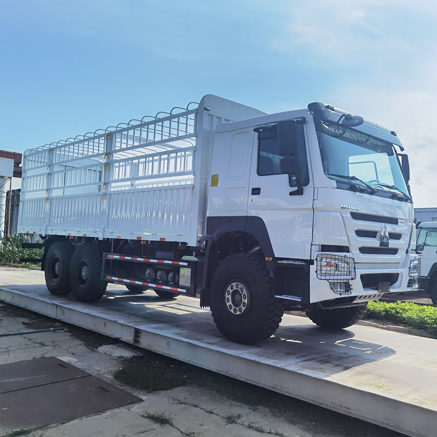 ساينو تراك HOWO 6X4 25T شاحنة بضائع 2